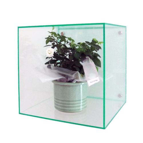 Display Systems, Lucite Cubes Shelving